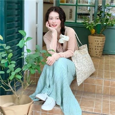 红翼行动