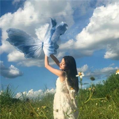 狐狸女士第二季